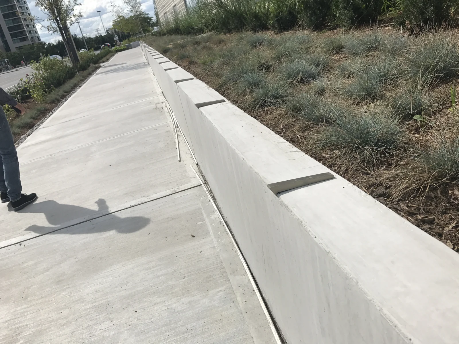 Skateboard deterrents installed along a sidewalk seam in a Canadian downtown streetscape